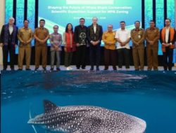 Konservasi Hiu Paus di Teluk Saleh Didukung Penuh Bupati Sumbawa dan Dubes Prancis