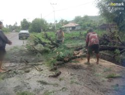Polsek Rhee Bersama Warga Gotong Royong Evakuasi Pohon Tumbang di Jalan
