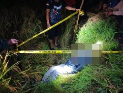 Pamit ke Sawah, Seorang Pria Lansia Ditemukan Meninggal Dunia