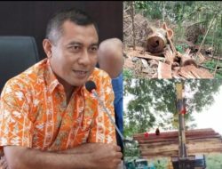 Ilegal Logging Masif di Batu Lanteh, Dewan Adizul Syahabuddin Minta Petugas Tindak Tegas