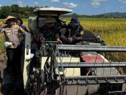 Kapolres Sumbawa Bersama Forkopimda Sumbawa Ikuti Panen Raya Serentak di Kecamatan Moyo Hilir