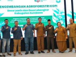 Berdayakan Petani Lokal, KPP Mining Luncurkan Program Agroforestri Kopi di Sumbawa