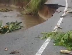 Jalan Ambles di Desa Emang Lestari