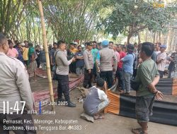 Judi Sabung Ayam Dibubarkan