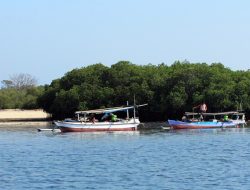 Pulau Panjang Sumbawa Dijual di Situs Online Luar Negeri