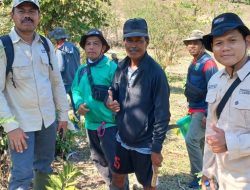 Pemkab Sumbawa Lakukan Pendataan Awal untuk Pengadaan Tanah Proyek Irigasi Beringin Sila