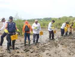 Tangkal Abrasi dan Rob, 2.000 Bibit Mangrove Ditanam di Pesisir Penyaring