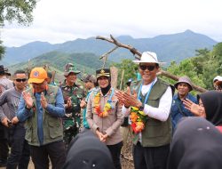 Bupati  Hijaukan Hutan Lindung di Orong Telu