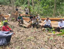 Patroli Satgas Gabungan Batulanteh Gerebek Lokasi Illegal Logging di Dusun Punik