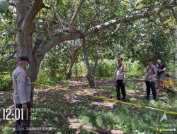 Polsek Labuan Badas Evakuasi Penemuan Jasad Warga Gantung Diri di Kebun Jambu Mente