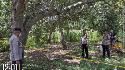 Polsek Labuan Badas Evakuasi Penemuan Jasad Warga Gantung Diri di Kebun Jambu Mente