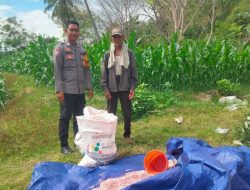 Sukseskan Program Asta Cita, Bhabinkamtibmas Desa Mokong Turun ke Sawah Bantu Petani