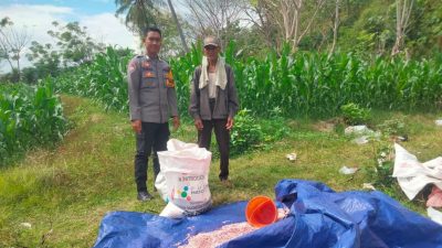 Sukseskan Program Asta Cita, Bhabinkamtibmas Desa Mokong Turun ke Sawah Bantu Petani