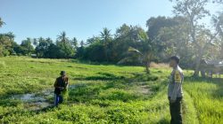 Dukung Ketahanan Pangan Nasional, Bhabinkamtibmas Desa Ledang Sambangi Petani Hortikultura