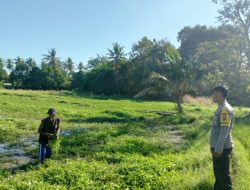 Dukung Ketahanan Pangan Nasional, Bhabinkamtibmas Desa Ledang Sambangi Petani Hortikultura