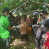 Cari Pakan Ternak, Anak di Lape Sumbawa Justru Temukan Sang Ayah Meninggal di Ladang