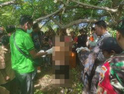 Cari Pakan Ternak, Anak di Lape Sumbawa Justru Temukan Sang Ayah Meninggal di Ladang