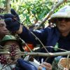 Festival Ngemar Kawa 2026: Langkah Bupati Jarot Jadikan Batulanteh Sentra Agrowisata Kopi Sumbawa