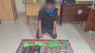 Polres Sumbawa Barat Gagalkan Peredaran 5,6 Kg Ganja dalam Operasi Antik Rinjani 2026