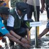 Demi Mangrove Tetap Lestari, Bupati Sumbawa Janjikan Hadiah Sapi untuk Warga Limung