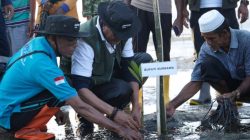 Demi Mangrove Tetap Lestari, Bupati Sumbawa Janjikan Hadiah Sapi untuk Warga Limung