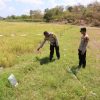 Niat Usir Burung di Sawah, Petani Perempuan di Sumbawa Tewas Tersengat Listrik Ilegal