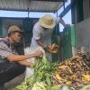 SDN Bukit Damai Maluk Siap Menuju Sekolah Adiwiyata