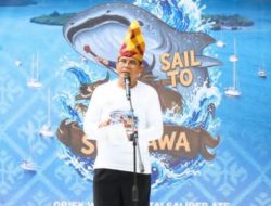 Jadi Jalur Pelayaran Internasional, Sumbawa Pamerkan Hiu Paus Teluk Saleh ke Puluhan Yachter