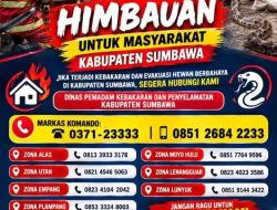 Respon Cepat Bahaya Kebakaran dan Satwa Liar, Damkar Sumbawa Sediakan Layanan Bebas Biaya